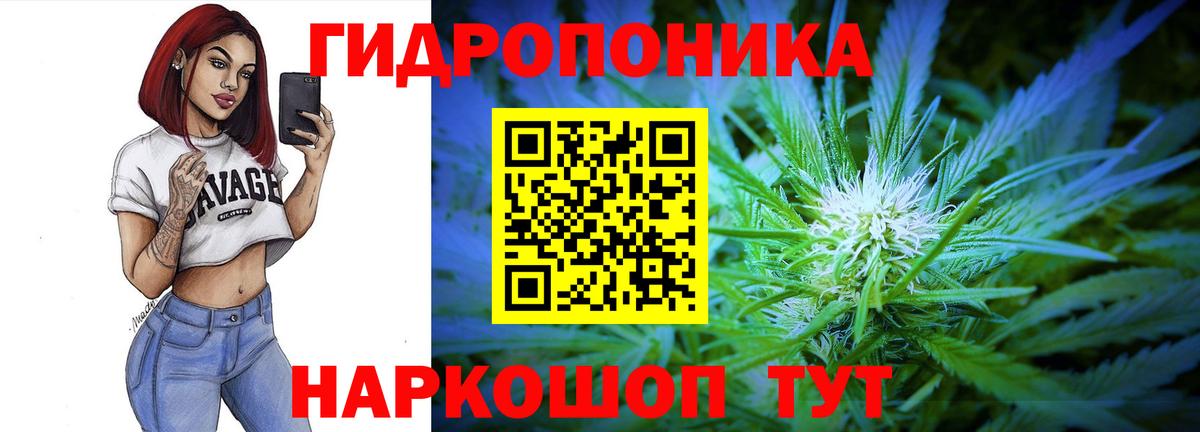 Шишки марихуана MAZAR Тихорецк